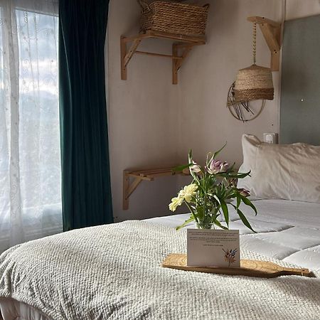 Hostel Casa Balmaceda Backpackers Coyhaique Exteriér fotografie
